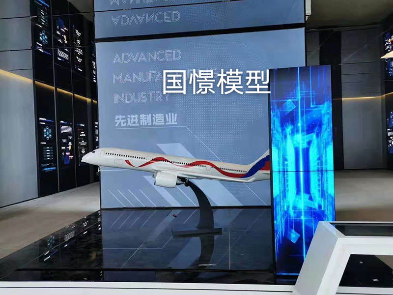 五原县飞机模型